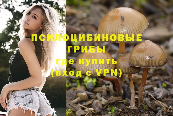 мяу мяу кристалл Баксан