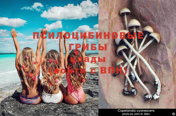 мяу мяу кристалл Балахна