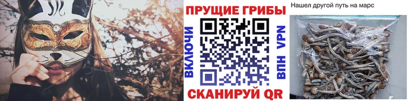 Псилоцибиновые грибы Psilocybine cubensis Тарко-Сале